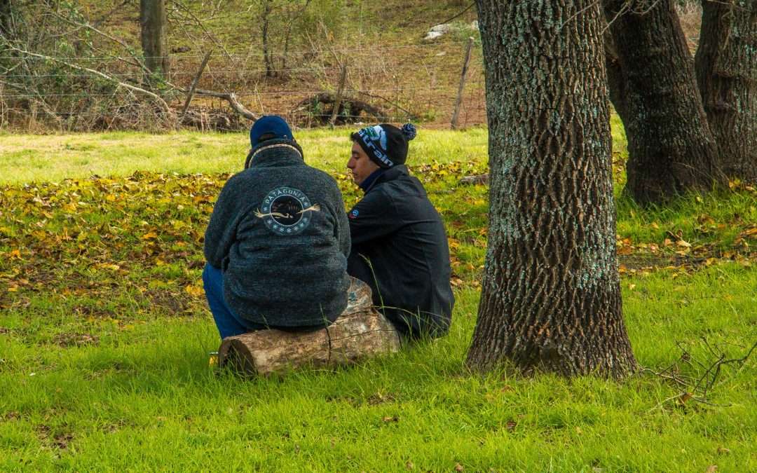 Acompañar las emociones, contener las emociones