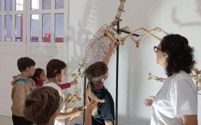 “Mundos Perdidos” en San Nicolás: un encuentro con la ciencia y el patrimonio regional