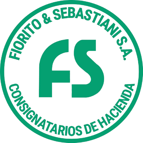 fiorito-y-sebastiani-logo-verde-removebg-preview